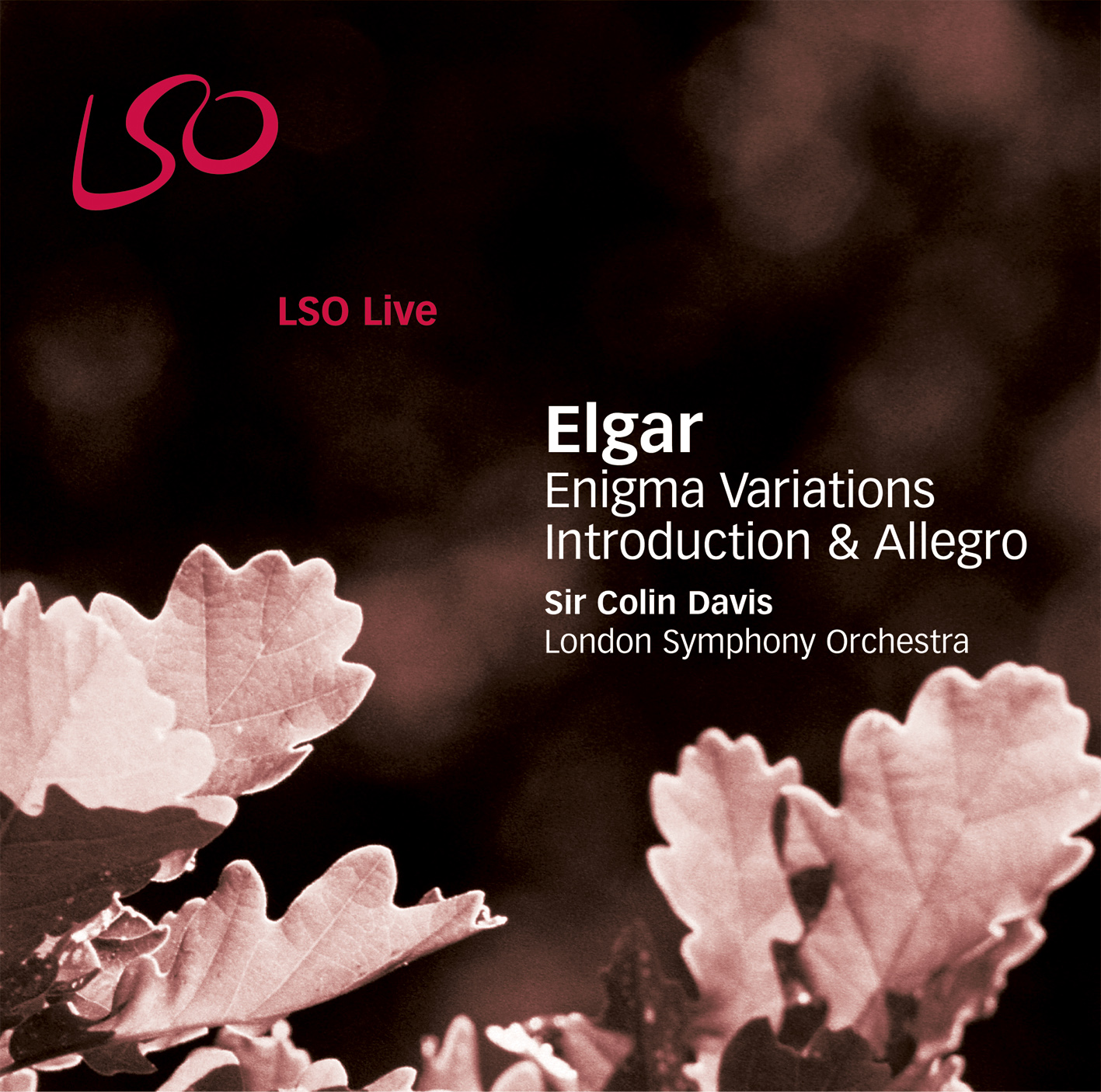 Elgar - Enigma Variations, Introduction & Allegro