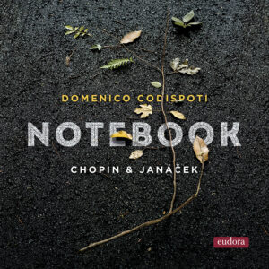 Notebook [Pure DSD]