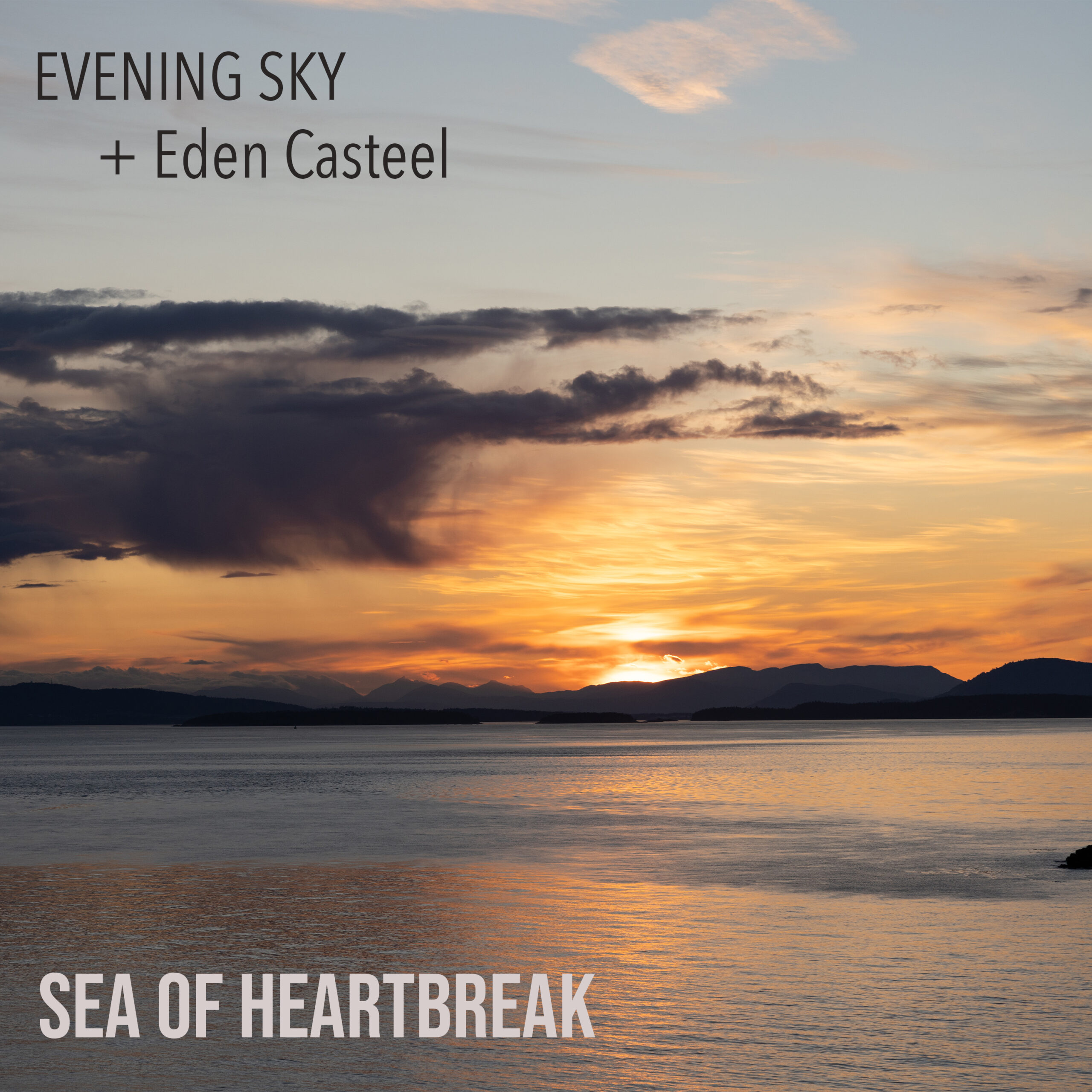 Sea of Heartbreak [DSD Single]
