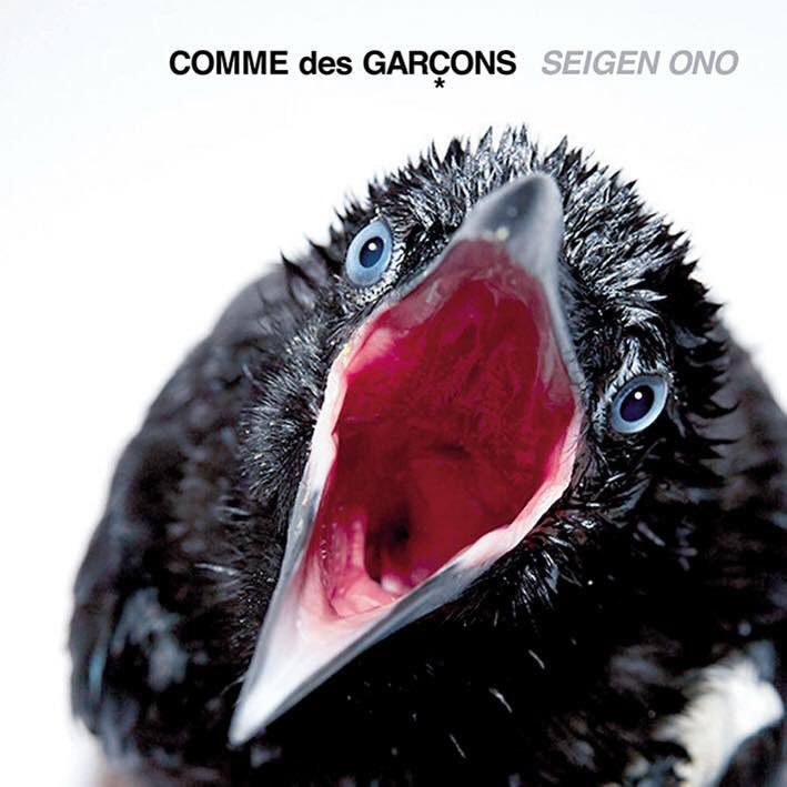 邦楽 Seigen Ono COMME des GARCONS Vol.1 Vol.2 Comme des Garcons (Like Boys) [Double Album] [Pure DSD