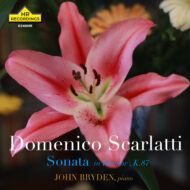 Domenico Scarlatti, B Minor Sonata, K.87 [DSD Single]