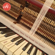 AM250020.jpg After Long Years That Passed Too Quickly