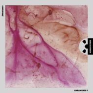 Lineaments II.  [Pure DSD]